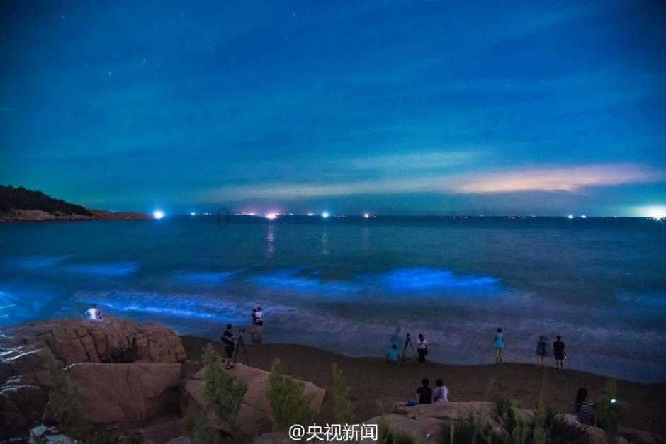 园林绿化工程师证报考官网游戏画面