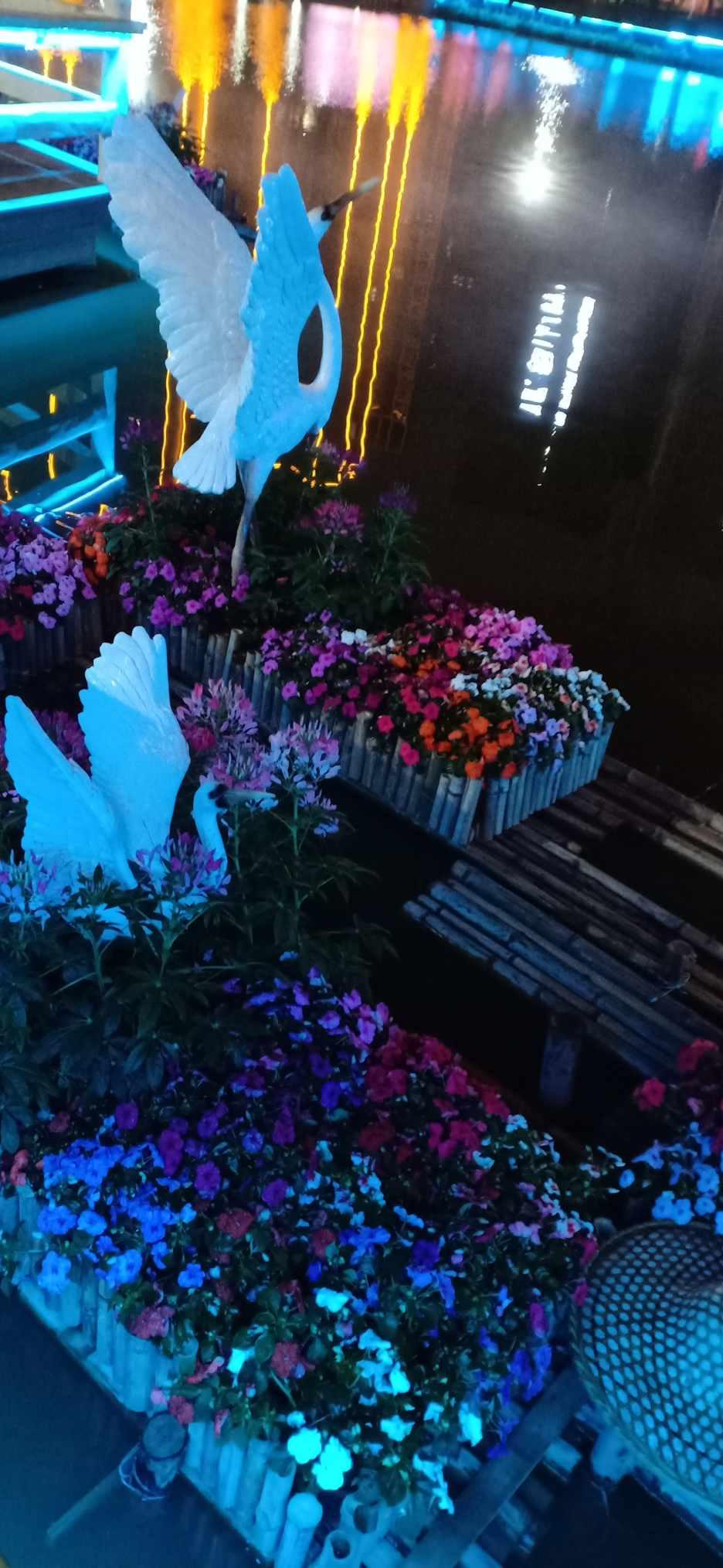 秦时明月为何白凤多次援救红莲（赤练）？游戏画面